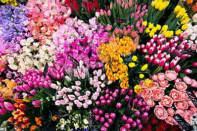 像素风公路旅行《The Van Game》登陆Steam 横穿北美